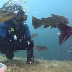 Meet your Posher, Hope